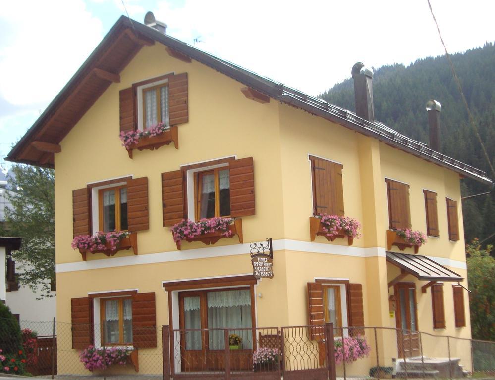 Casa Monica Daire Santo Stefano Di Cadore Oda fotoğraf