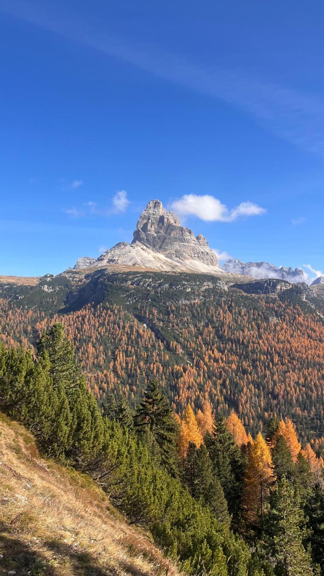 Casa Monica Daire Santo Stefano Di Cadore Dış mekan fotoğraf
